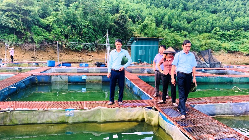 HĐND huyện giám sát kết quả thực hiện Đề án “phát triển nghề nuôi cá lồng gắn với phát triển du lịch lòng hồ thủy điện sông Chừng, giai đoạn 2019-2025”