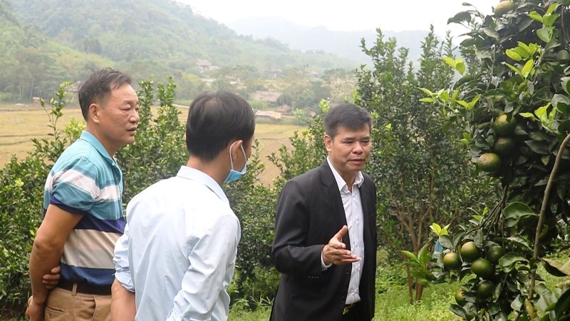 Chủ tịch UBND huyện dự sinh hoạt chi bộ tại thôn Xuân Phú, Yên Hà