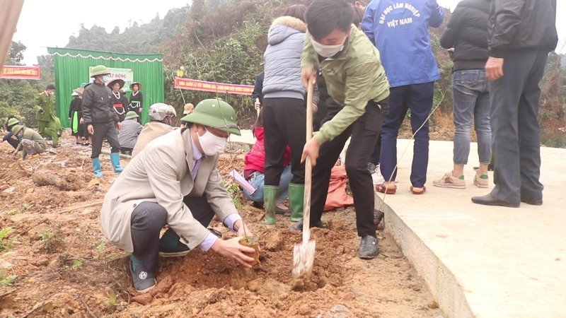Thị trấn Yên Bình phát động Tết trồng cây Xuân Nhâm Dần 2022