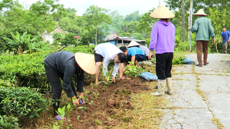 Thị trấn Yên Bình “Ngày thứ 7 trồng hàng rào xanh”