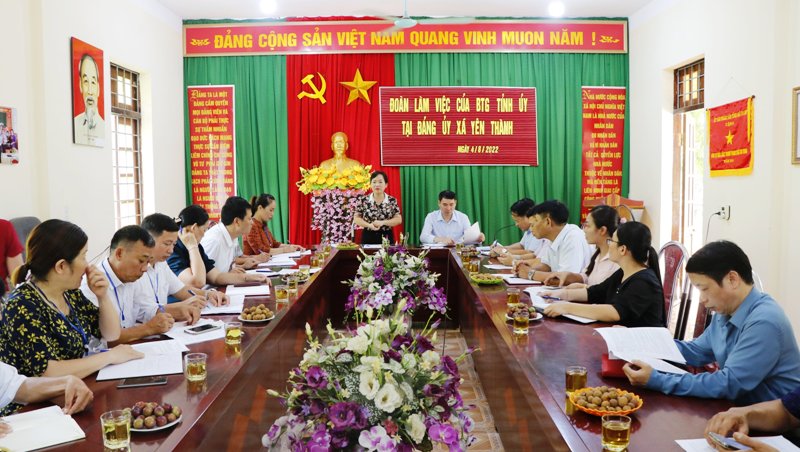 Ban Tuyên giáo Tỉnh ủy thăm và làm việc tại 02 xã Vĩ Thượng và Yên Thành